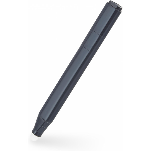 ViewSonic Accessoires pour Écrans d'Affichage Professionnels LB-PEN-002