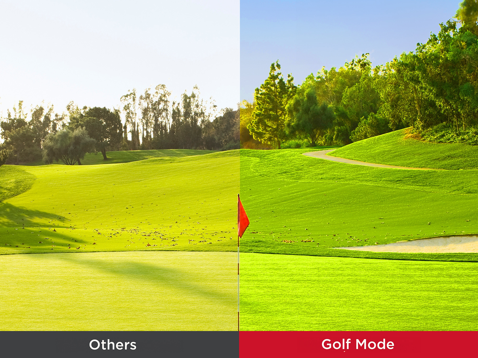 Colores brillantes para una auténtica experiencia de golf 1