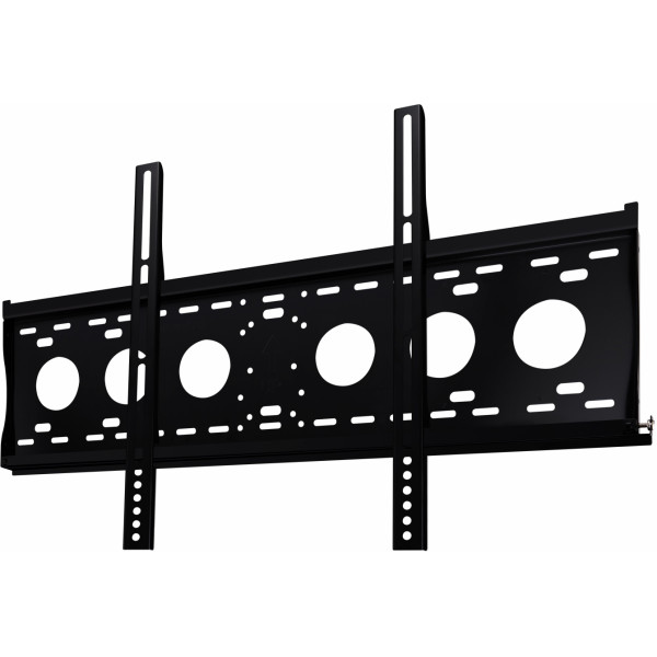 ViewSonic Accessoires pour Écrans d'Affichage Professionnels WMK-051