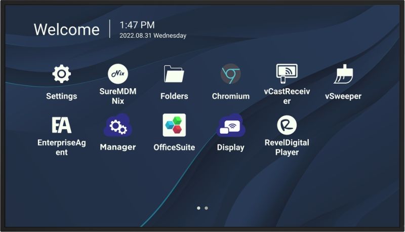 ViewSonic Профессиональные дисплеи CDE9830