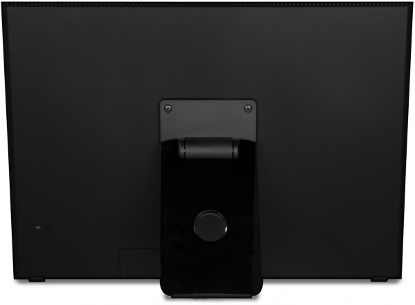 ViewSonic Смарт-дисплей VSD220